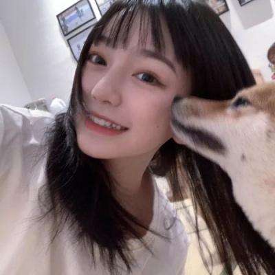冰鸟暴走神话游戏下载
